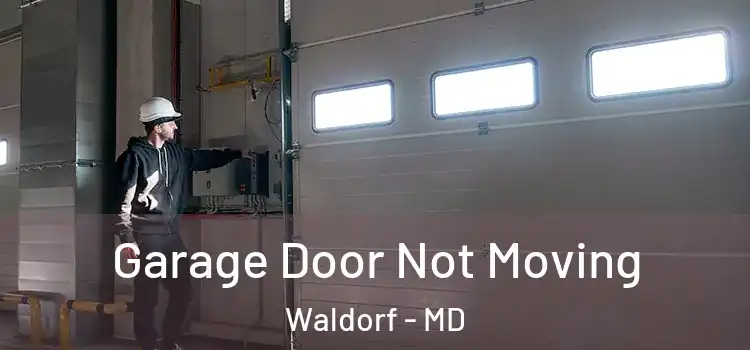  Garage Door Not Moving Waldorf - MD