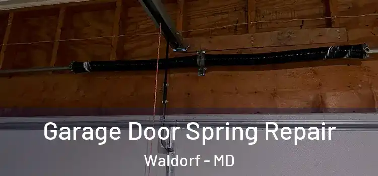  Garage Door Spring Repair Waldorf - MD
