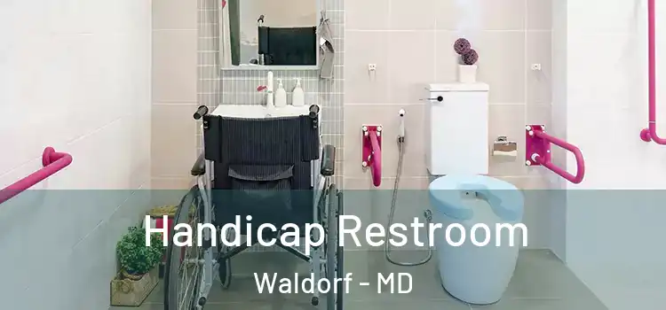 Handicap Restroom Waldorf - MD